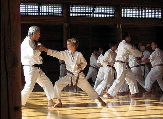 Ohshima Sensei Instructs